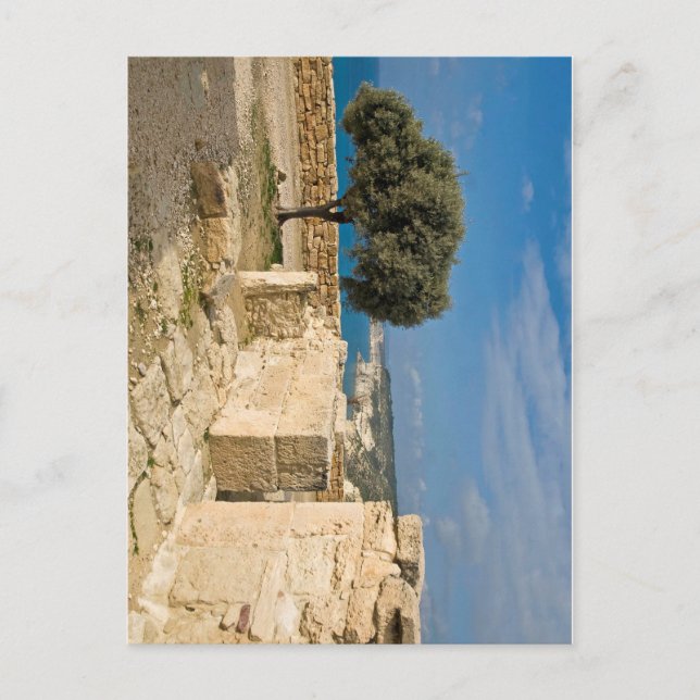 Carte Postale Site archéologique de Kourion, Chypre (Devant)