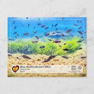 Carte Postale Site du patrimoine mondial de l'UNESCO - Biodivers