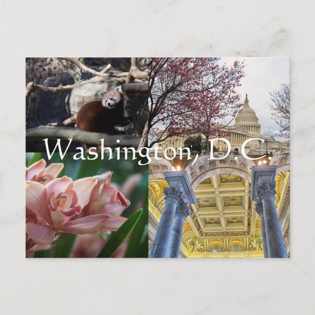 Carte Postale Sites de Washington, D.C. (Devant)