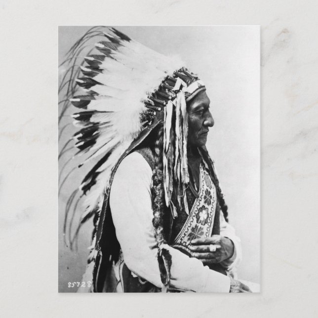 Carte Postale Sitting Bull, un Sioux de Hunkpapa (Devant)