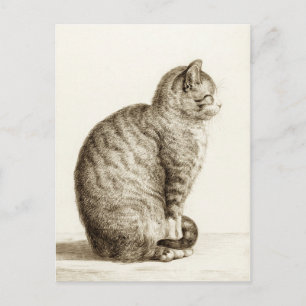 Carte Postale Sitting cat vintage sepia pencil drawing