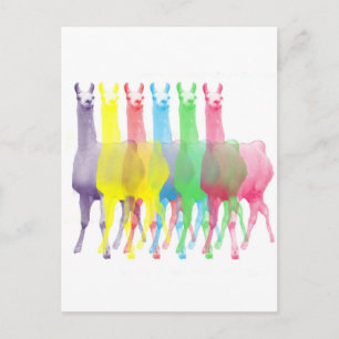 Carte Postale six lamas dans six couleurs de lama