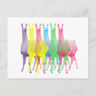 Carte Postale six lamas dans six couleurs de lama