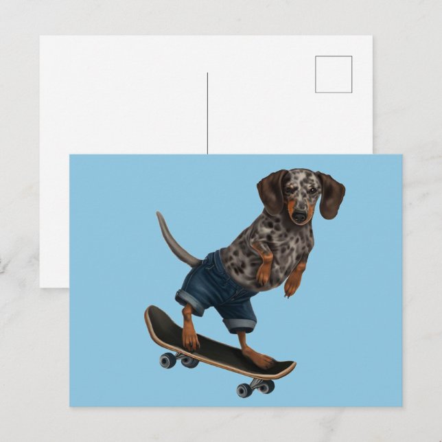 Carte Postale Skateboard Dachshund (Devant / Derrière)