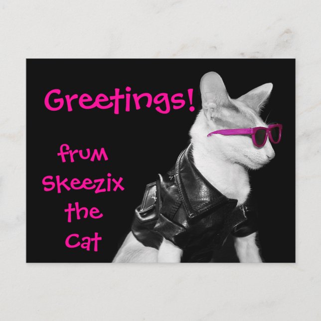 Carte Postale Skeezix the Cat Postcard (Devant)