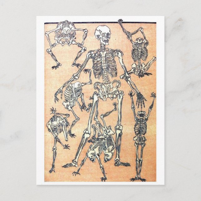 Carte postale Skeleton Dance (Devant)