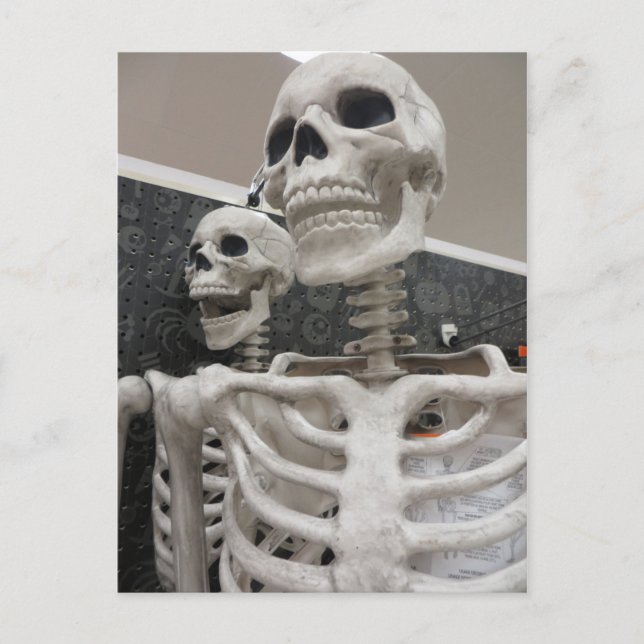 Carte Postale Skeleton Duo (Devant)