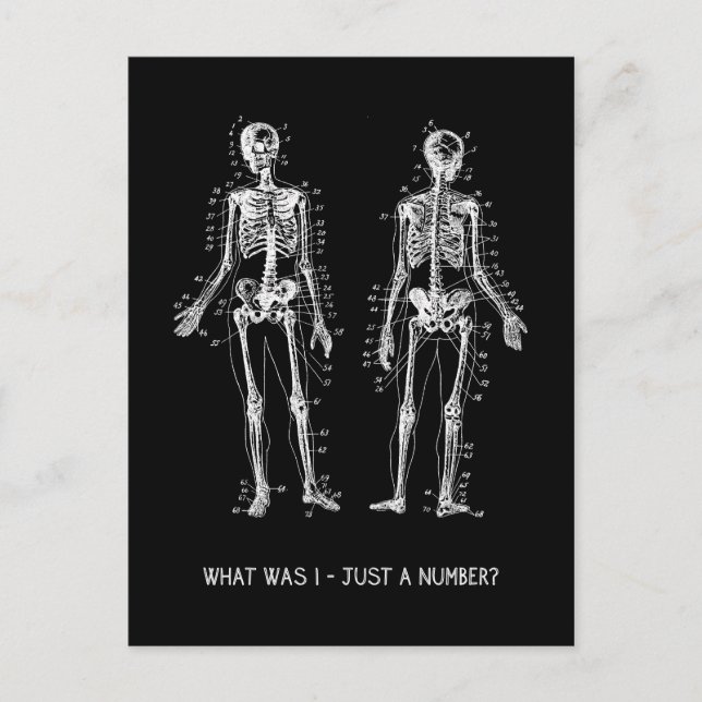 Carte Postale Skeleton Questions pour Halloween (Devant)