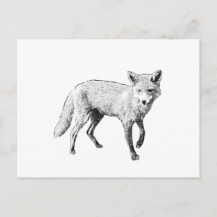 Carte Postale Sketch Young Fox