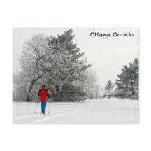 Ski de fond le jour du Frosty