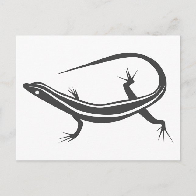 Carte Postale Skink lizard postcard (Devant)