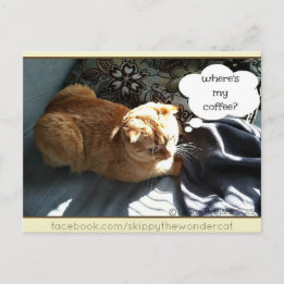 Carte Postale Skippy où est mon café