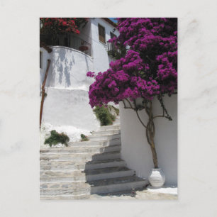 Carte Postale Skopelos, Grèce