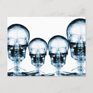 Carte Postale Skull