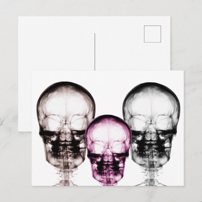 Carte Postale Skulls de Mixed Color X-Ray Vision (Devant / Derrière)