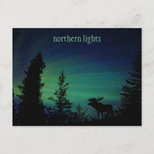 Carte postale Sky Colorée Northern Lights