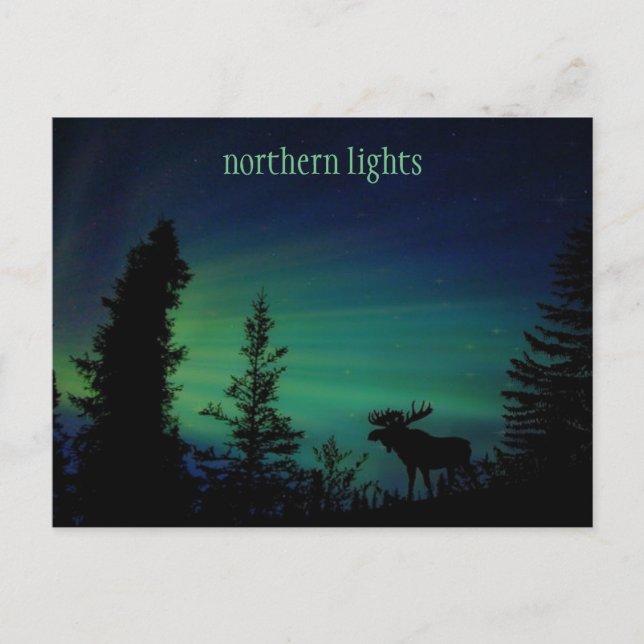 Carte postale Sky Colorée Northern Lights (Devant)