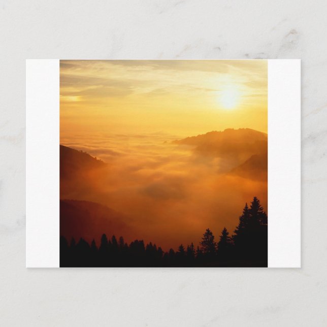 Carte Postale Sky St Gallen Suisse (Devant)
