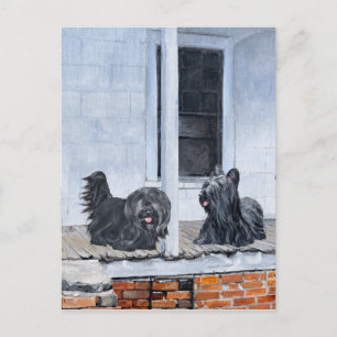 Carte Postale Skye Terriers attendent sur le Porche