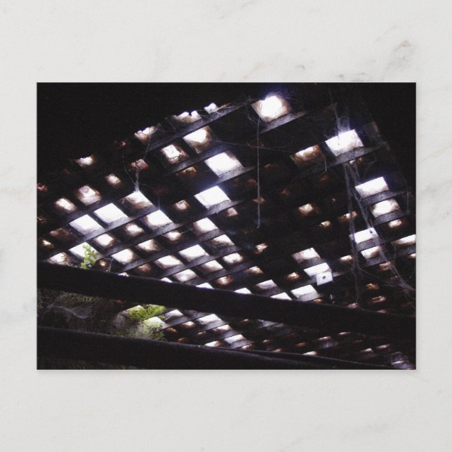 Carte Postale Skylight Sur Le Trottoir En Bas (Devant)