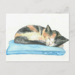 Carte Postale Sleeping Calico Kitten Postcard