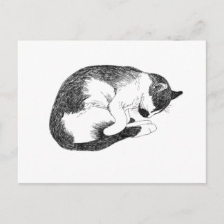 Carte Postale Sleeping Cat – Gentle Reminder to Rest