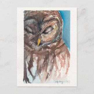 Carte Postale sleepy owl post card