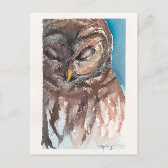 Carte Postale sleepy owl post card (Devant)