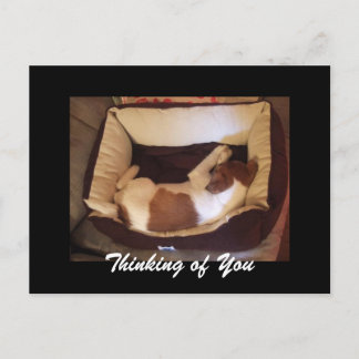 Carte Postale Sleepy Puppy - Penser à vous