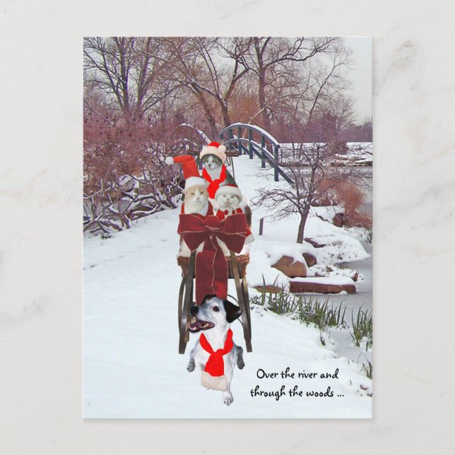 Carte Postale Sleigh Ride Kitties (Devant)