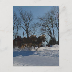 Carte Postale Sleigh ride Stowe Vermont
