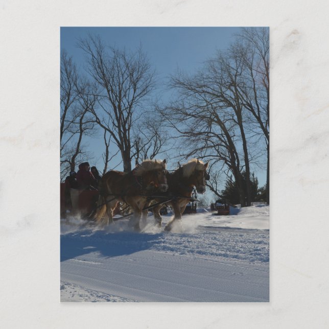 Carte Postale Sleigh ride Stowe Vermont (Devant)