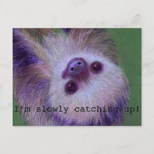 Carte Postale Sloth