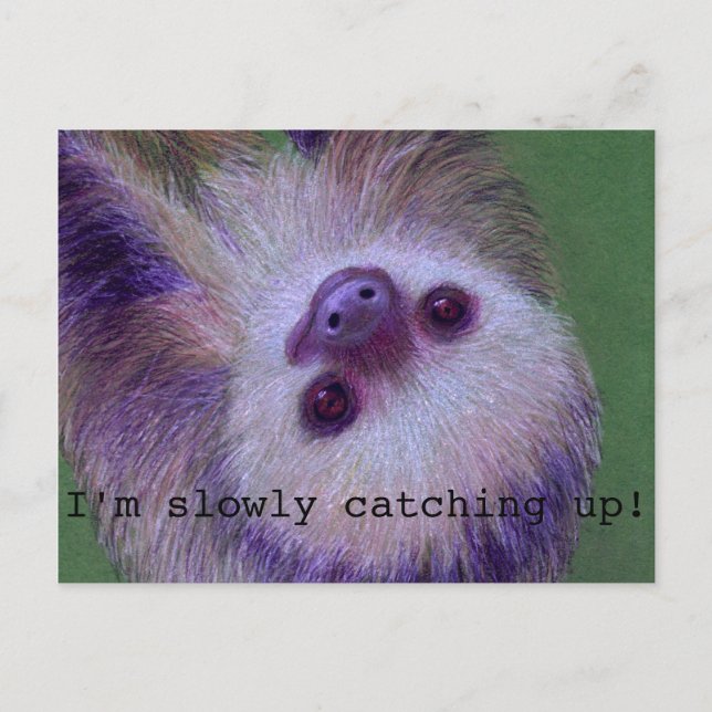 Carte Postale Sloth (Devant)