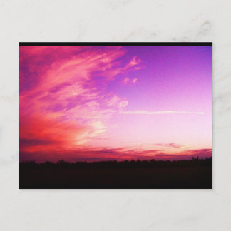 Carte postale Slushpuppys Photographie