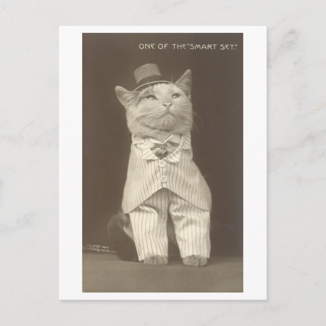 Carte Postale "Smart Set" Vintage habillé Chat (Devant)
