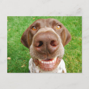 Carte postale Smile GSP