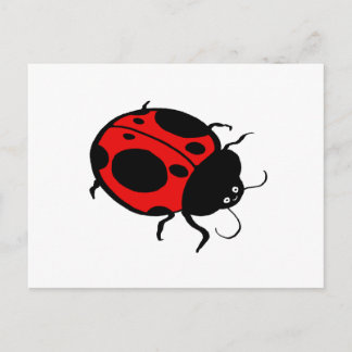Carte Postale Smiling Ladybug -