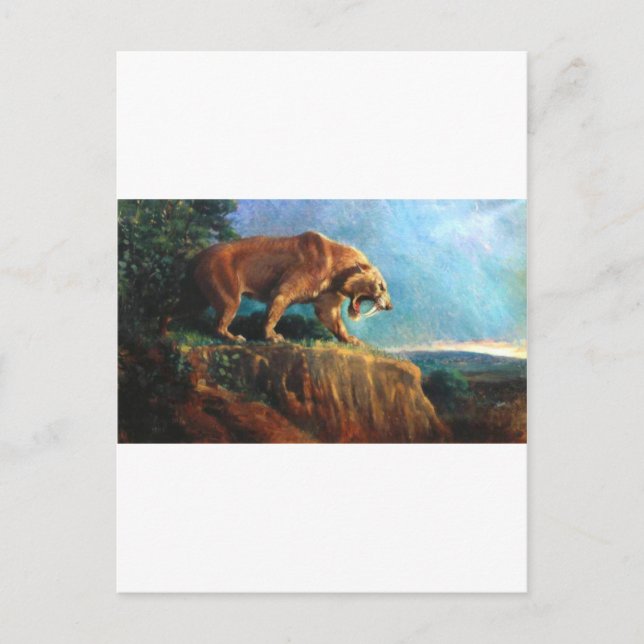 Carte Postale smilodon (Devant)