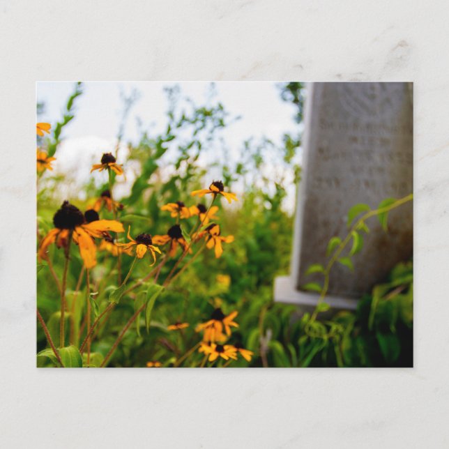 Carte Postale Smith Cemetery Nature Preserve, Ohio (Devant)