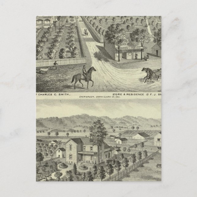 Carte Postale Smith, Résidences Herman, magasin (Devant)