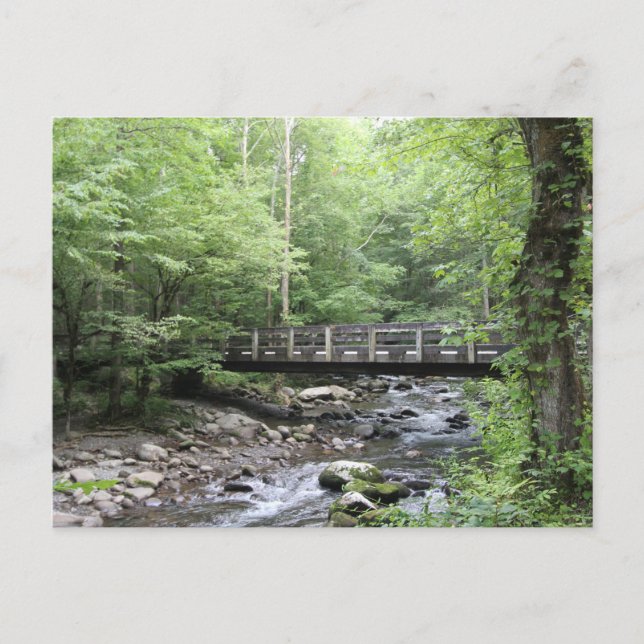 Carte postale Smokey Mountain Creek (Devant)