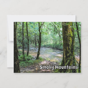 Carte Postale Smoky Mountains Cataract Falls Randonnée Trail Vie