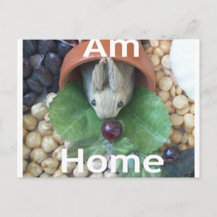 Carte Postale Snacking de lapin mignon