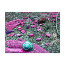 Carte postale "SnailShell"