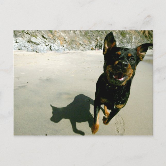 Carte Postale Snoop (Devant)