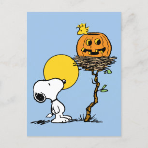Carte Postale Snoopy & Bois Nid Avec Jack O'Lantern