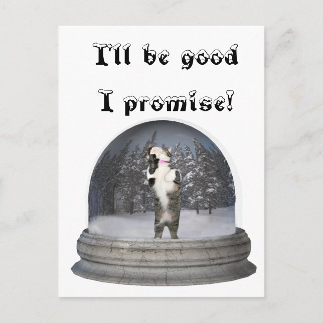 Carte Postale Snow globe cat (Devant)