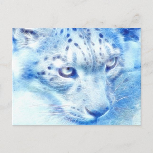 Carte Postale *Snow Leopard* Wild Spirit (Devant)