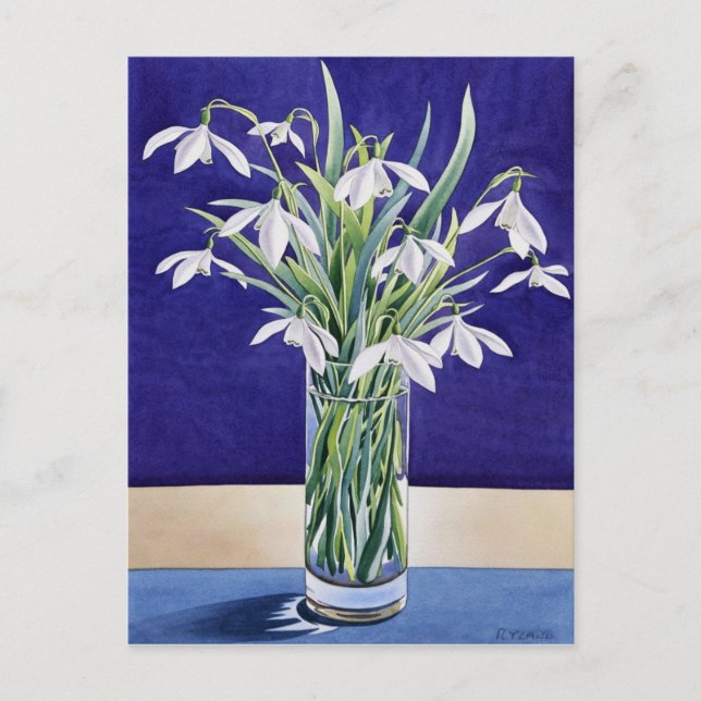 Carte Postale Snowdrops (Devant)